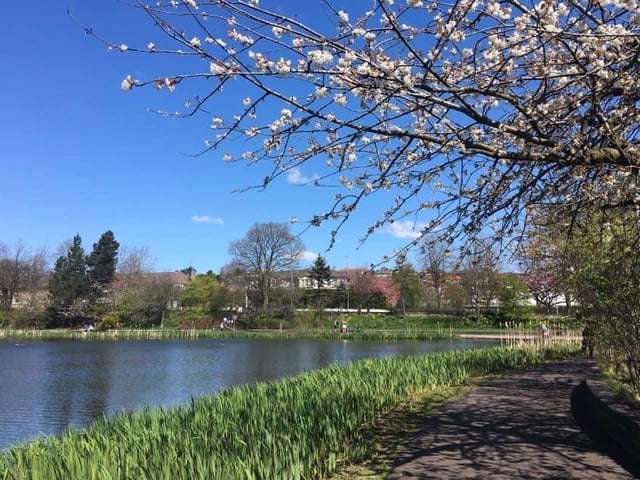 Located in the grounds of Gartnavel Hospital, Bingham's Pond is popular with runners.