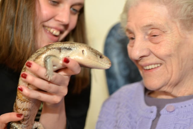 The day a blue-tonged skink visited the Langley House Care Centre, in Horden and it looks like resident Mary Wood is loving the visitor. Remember this from 2015?