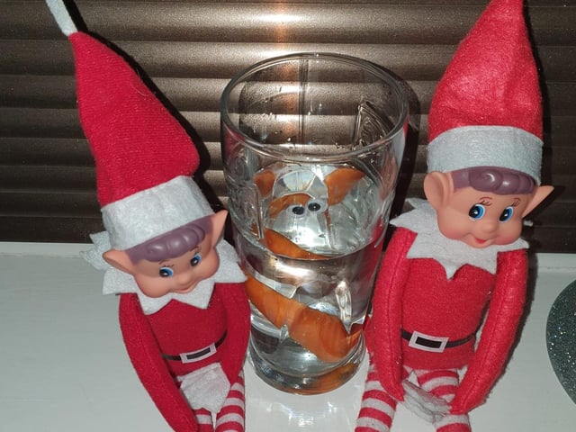 Bev Chapman, said: "They brought a snowman back from the North Pole but it melted."