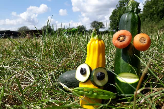 Enjoy a vegetable puppet show this week