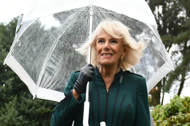 Queen consort Camilla passed on her best wishes to volunteers fighting to save Weston Park Hospital Cafe, and told them she understood their concern.She said she could not get involved, but it has now been saved.