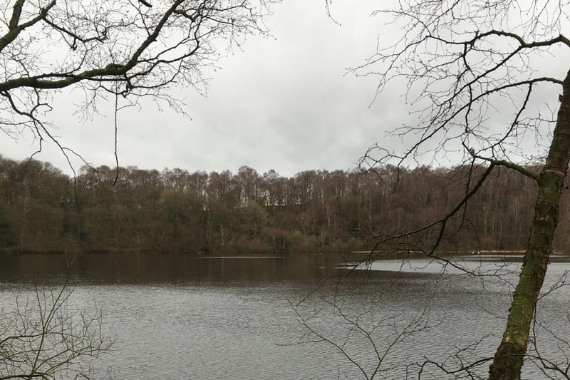 A natural lowland lake at the foot of Whitestone Cliff, a western sloap of the Hambleton Hills in the North York Moors National Park. There is parking at Sutton Bank National Park Centre, but it's a steep climb down and back up again.