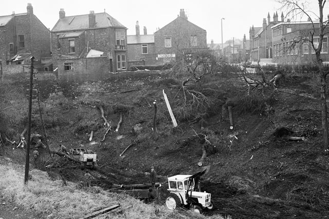 Tree felling at Burn Park in December 1972 as part of a scheme to widen and improve New Durham Road. Remember it?
