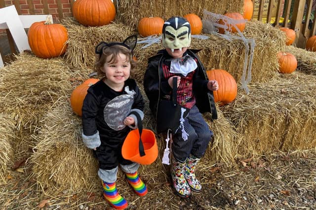 Rosanna, two, and Eddie Morton, four, at the Halloween trail at Fairthorne Manor, near Botley