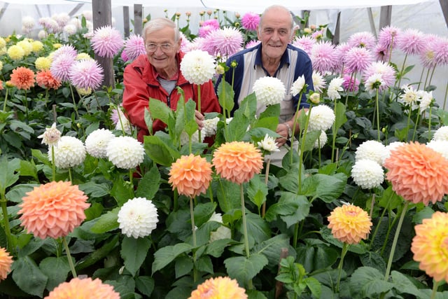 The Monkton Village flower and veg show in 2015. Did you take part?