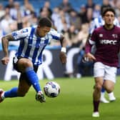 Liam Palmer wants Sheffield Wednesday to start strong against Peterborough United. (Steve Ellis)