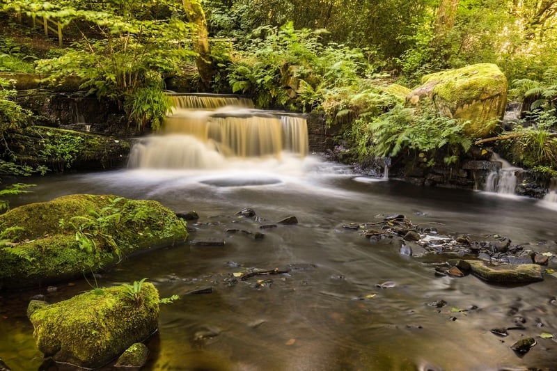 "Follow the Rivelin River through ancient woodland and enjoy stunning views of the surrounding countryside."