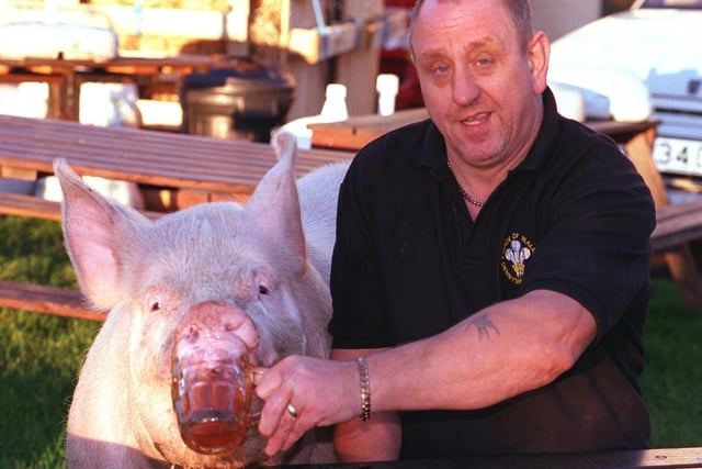 Piggy the pig enjoyed a birthday beer with publandlord Abner Boldcock at the Prince of Wales pub, Derbyshire Lane, Norton Lees in 1999
