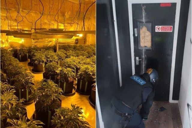 In December 2020, officers raided a business unit in Tinsley and seized 1,700 plants worth £1.6 million.
