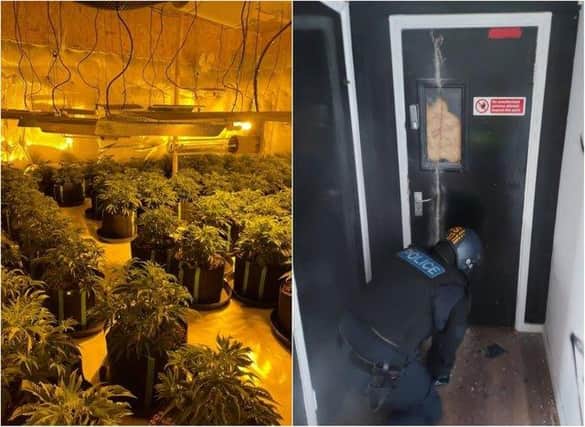 In December 2020, officers raided a business unit in Tinsley and seized 1,700 plants worth £1.6 million.