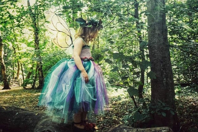 Walking through our woodland became a popular passtime. Stacey Crowther-Edwards got creative with this shot.