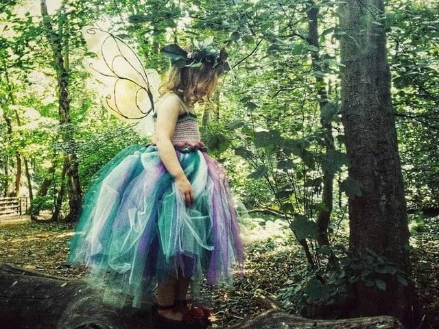 Walking through our woodland became a popular passtime. Stacey Crowther-Edwards got creative with this shot.