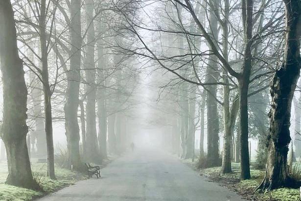 Cheryl took this (and the cover picture at the top of the page) on Friday's misty morning and said: 'I think it captures the natural beauty of Portsmouth.'
