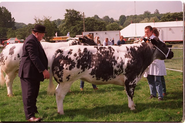 Judging in one of the cattle classes at the 1997 Bakewell Show.