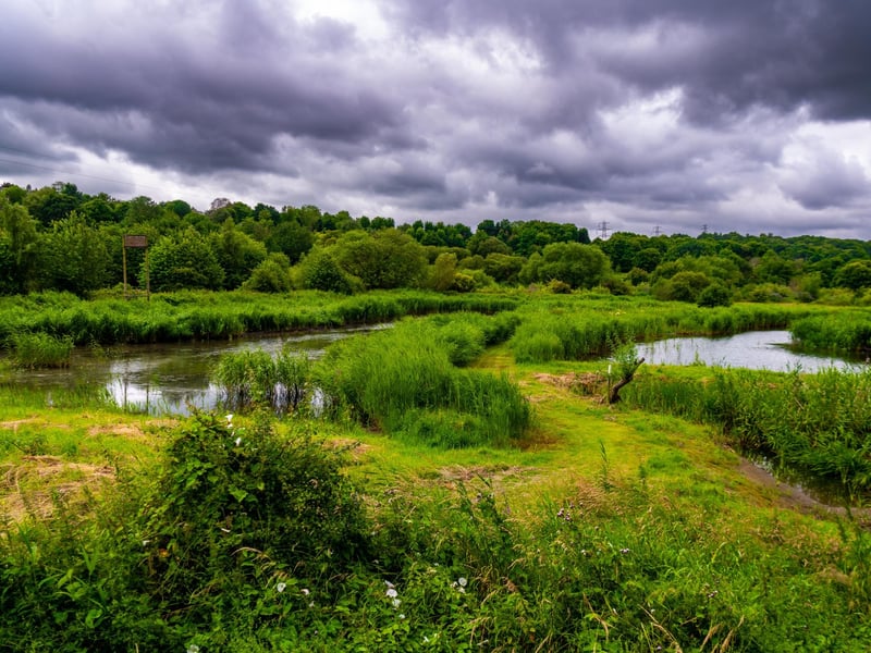 Built on a floodplain in the Kirkstall Valley, this is a flyway for migrating birds. It’s a stronghold for Kingfishers, Lapwings, and Snipe, with plenty of hides to keep you dry.