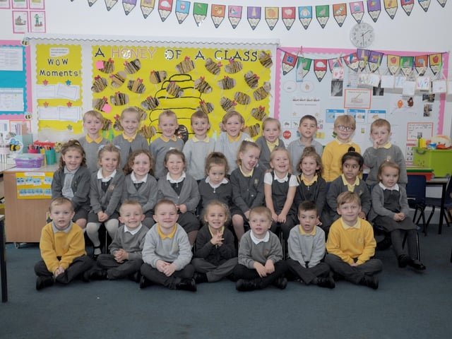 Honeybees Class