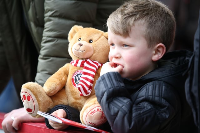 A young Blades supporter has a teddy bear for company during the game.