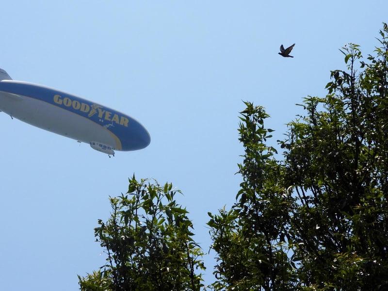 The Goodyear Blimp over Portsmouth on Thursday, July 1. Picture: William Bates