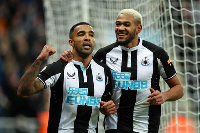 Callum Wilson's goal secured Newcastle United a vital victory against Burnley (Photo by Ian MacNicol/Getty Images)