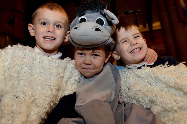 Sheep Declan Gibson (left) and Jake Forth with Donkey Marley Smith in the Lynnfield Primary nativity play. Remember this from 2015?