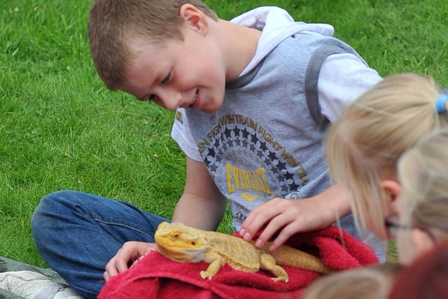 This youngster get to meet a lizard from Party Animals during this Teddy Bear's Picnic at the Welfare Park in Horden in 2012.
