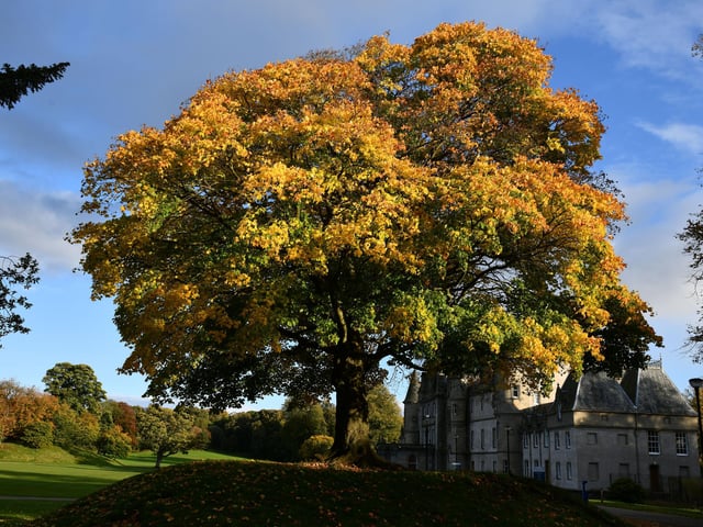Callendar Park and Callendar House.