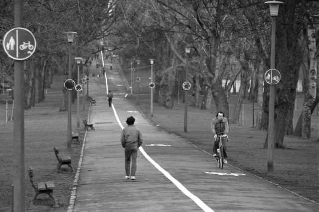 Signs were put up and white lines painted down Middle Meadow Walk in Edinburgh's Meadows to segregate pedestrians and cyclists in March 1983.