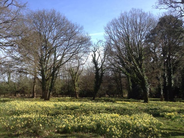 This 12 bed Victorian Country house in Burley is on sale now.