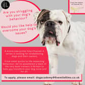 The Dog Academy coming to Channel 4, flyer with instructions how to apply