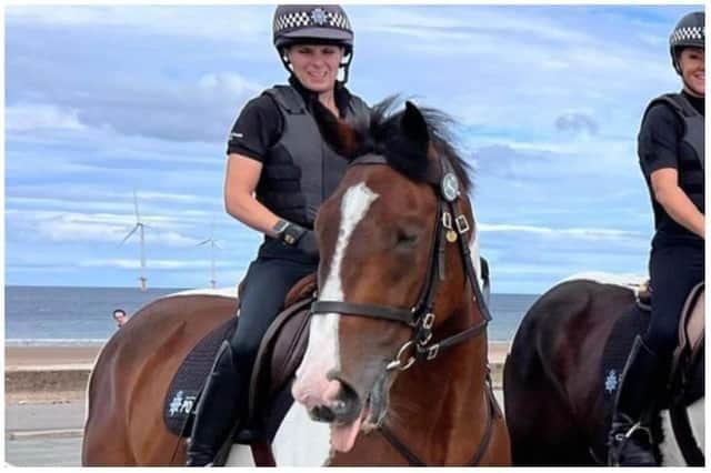 PH Tommy Tankersley is now "thriving" after being sold for "not excelling" as a police horse.