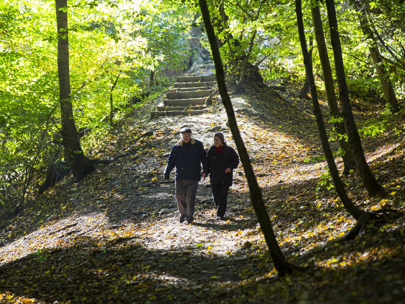 On the border between North Kirklees, Calderdale and Bradford, and measuring 40 hectacres, Judy Woods has ample space for everyone. When it's a bit warmer, it's also the perfect spot for a summery picnic.