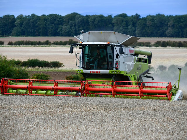 Wheat harvest at Wheatrig Farm, Longniddry.