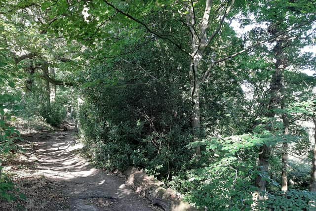 Campaigners want to preserve the lush woodland and wildlife in the Loxley Valley