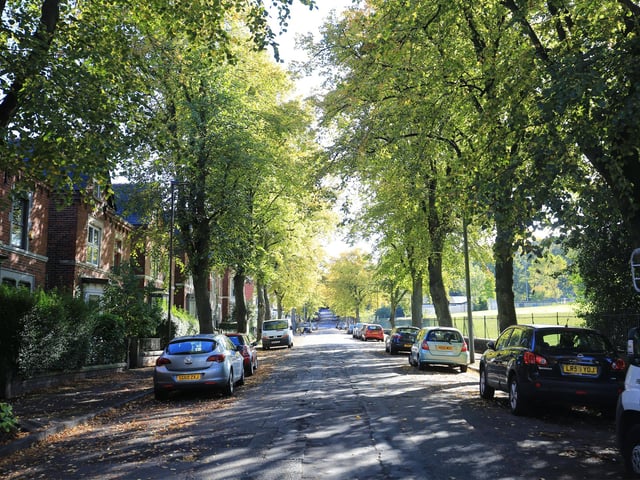 Houses in Meersbrook, Sheffield, will be decorated with a Halloween theme from October 26 to November 1 - the idea is families with young children can 'go for a wander and spot the decorated houses in their areas', organisers say. (https://www.facebook.com/events/641782070048950)