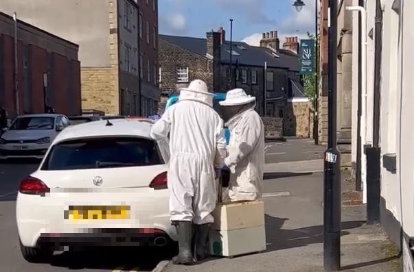It isn't every day your car door becomes home for a swarm of bees. Sheffield beekeepers Phil Khorassandjian, of The Honey Shed Ltd honey company, and Phil O'Callaghan, arrived to "hoover" up the bees using a specialized vacuum cleaner from this car in Broomhill.