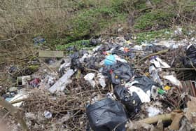 Fly-tipping in Gleadless Valley, Sheffield. More than 4,000 fly-tipping incidents across the city were reported via FixMyStreet during 2021