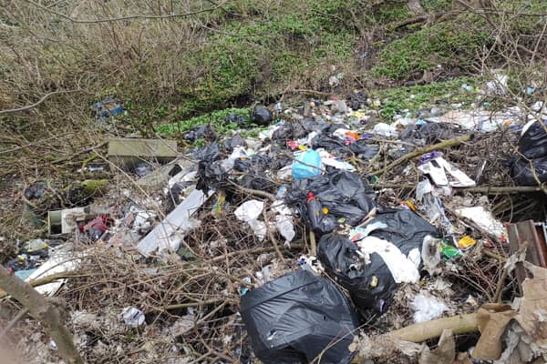 Fly-tipping in Gleadless Valley, Sheffield. More than 4,000 fly-tipping incidents across the city were reported via FixMyStreet during 2021