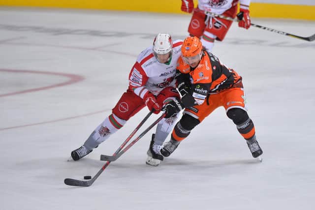 Sheffield Steelers' Anthony Deluca scraps for the puck. Pic: Dean Woolley