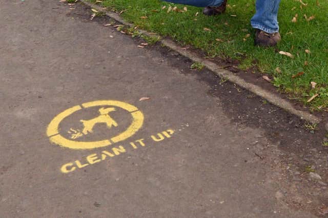 Sheffield dishes out just four fines a year to people who fail to clear up after their dogs foul the parks or pavements. Picture: Marie Caley NSST Barnes MC 1