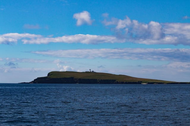 The seabird colony at Copinsay (Orkney Islands).