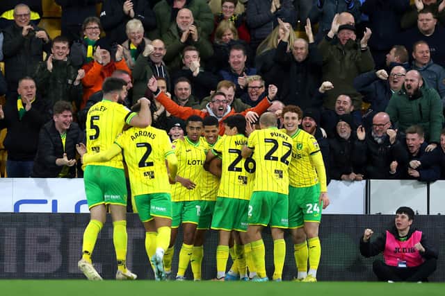 Adam Idah of Norwich City celebrates scoring against Reading (Stephen Pond/Getty Images)