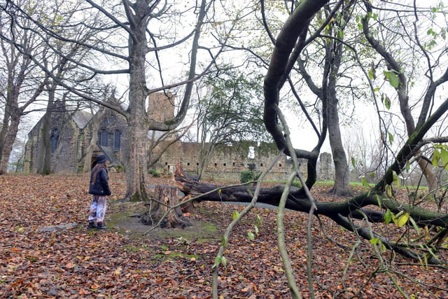 The high winds caused trees in St Paul's Church ground in Jarrow to fall over.