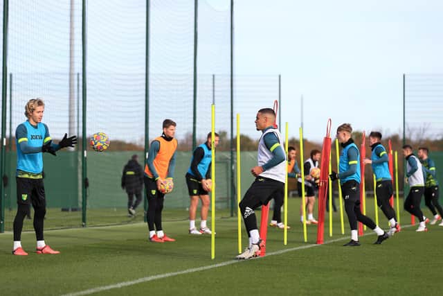 Max Aarons and Todd Cantwell of Norwich City take part in a training session (Stephen Pond/Getty Images)