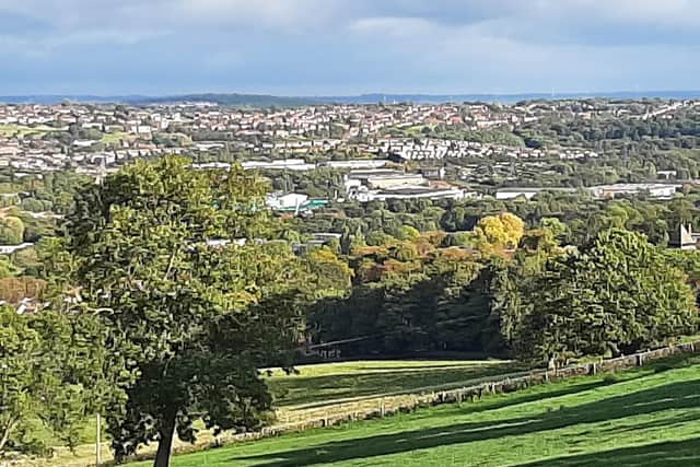 Sheffield Council said a significant amount of Green Belt would be lost if it met the Government’s housing supply target, as it weighs up local plan options.
