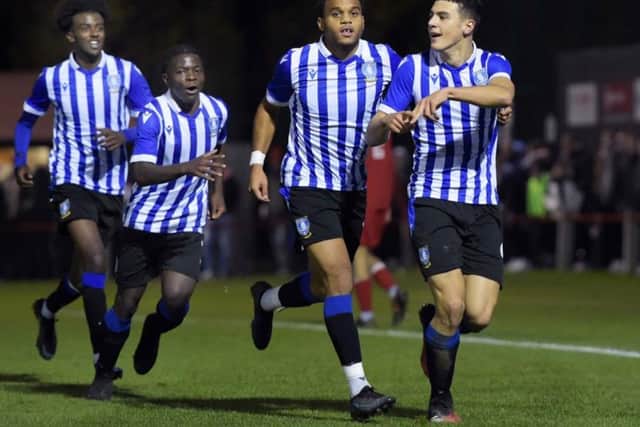 Sheffield Wednesday youngsters Leojo Davidson and Bailey Cadamateri have been named in the squad for their Papa Johns Trophy match with Leicester City u21s.