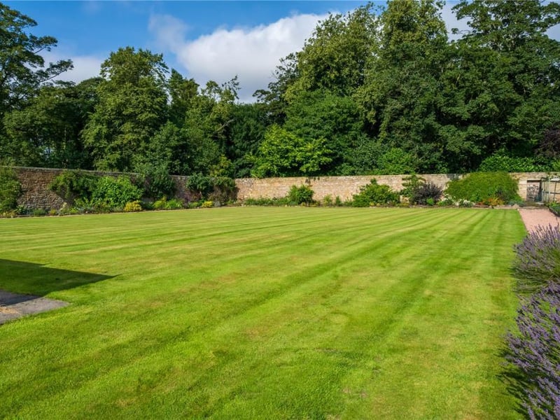 Garden.