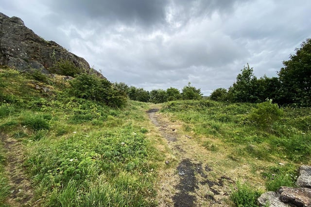 Not only do the two mounds that make up Tunstall Hills offer incredible views across the city and out to the coast, the area containing them is a nature reserve where you can find a stunning range of flowers and animals including kestrels as they hunt for prey.