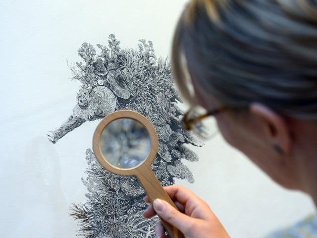 On March 7 The Harley Gallery in Welbeck is invite artists whether professional or amateur to enter their work into its popular competition.