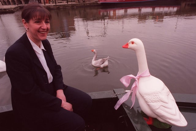 Susan Dixon laughed it off as The lovesick Goose at Sheffield Canal Basin circles outside the boat with a plastic goose on board in 1998