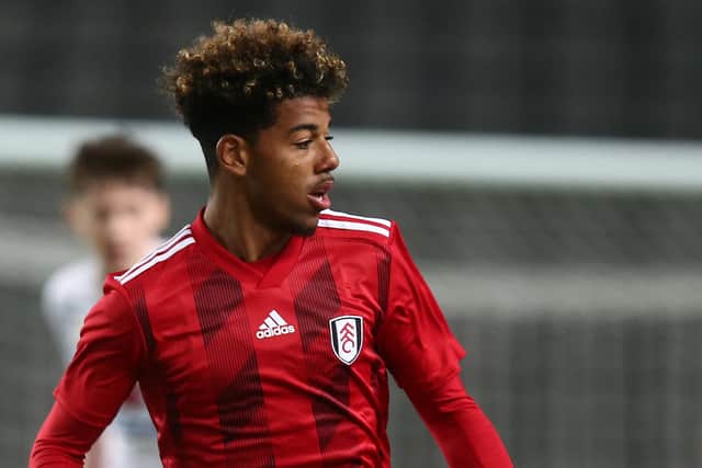 Fulham's Sylvester Joseph is on trial with Sheffield Wednesday.